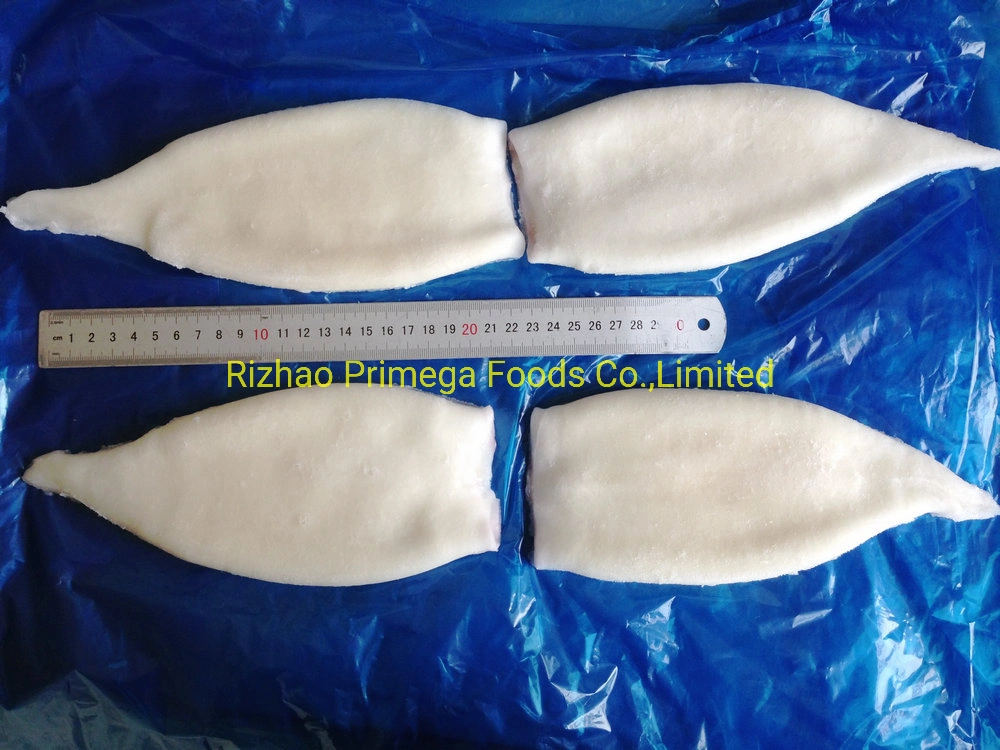 Frozen Seafood Marine Food Calamari Todarodes Pota Squid Tubes Dosidicus Gigas