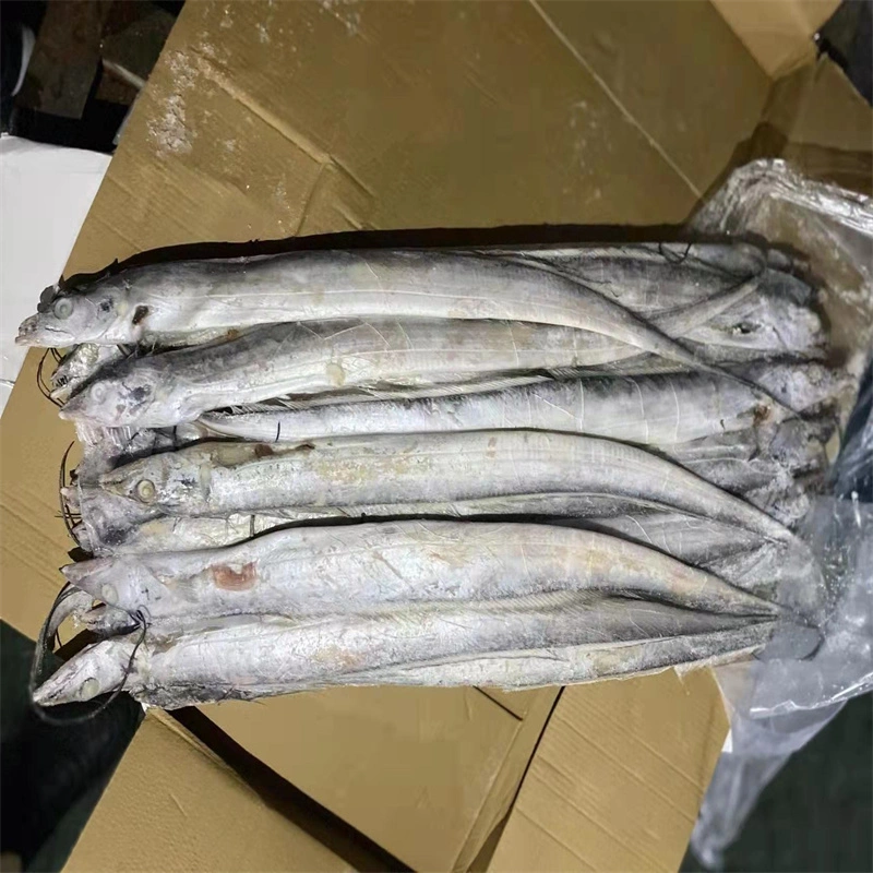 Wholesale Price Hairtail Fish Land Frozen Ribbon Fish