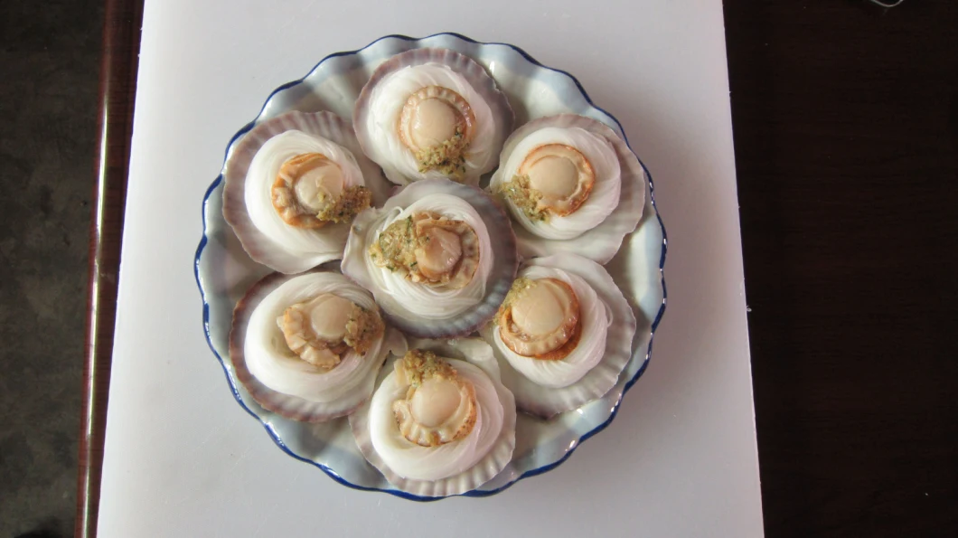 Frozen Tasted Half Shell Sea Scallop