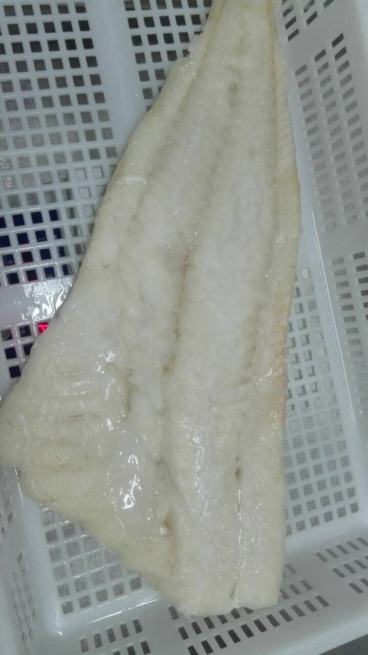 IQF Frozen Atlantic Cod Portion