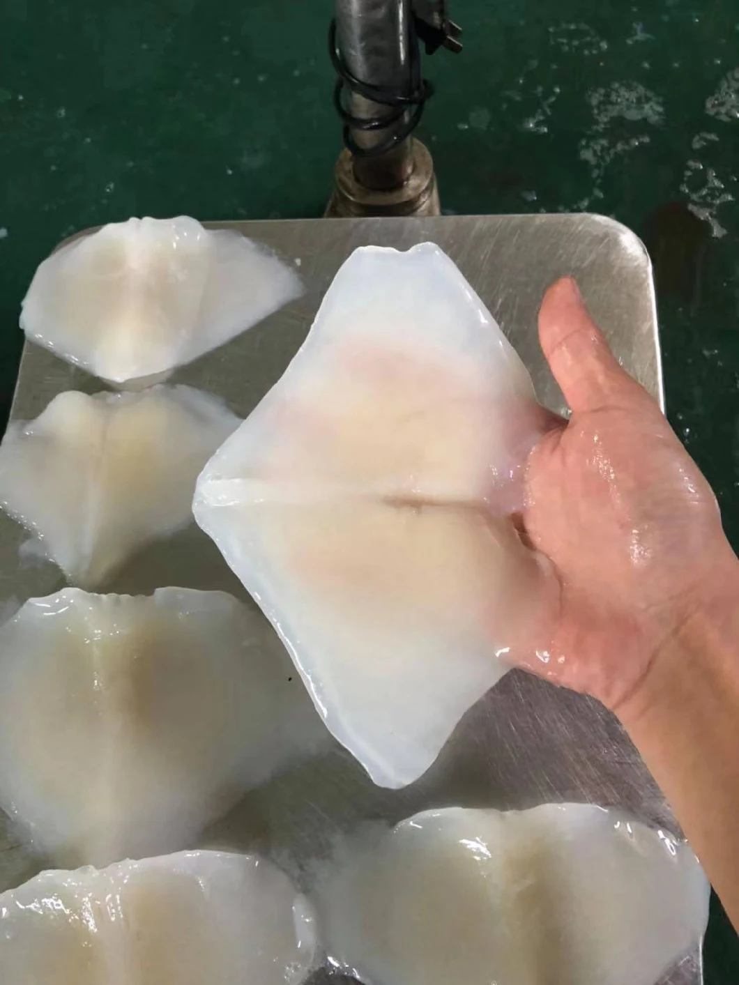 Frozen Squid Wing Skin off /Giant Wing/Illex Wing/Frozen Seafood