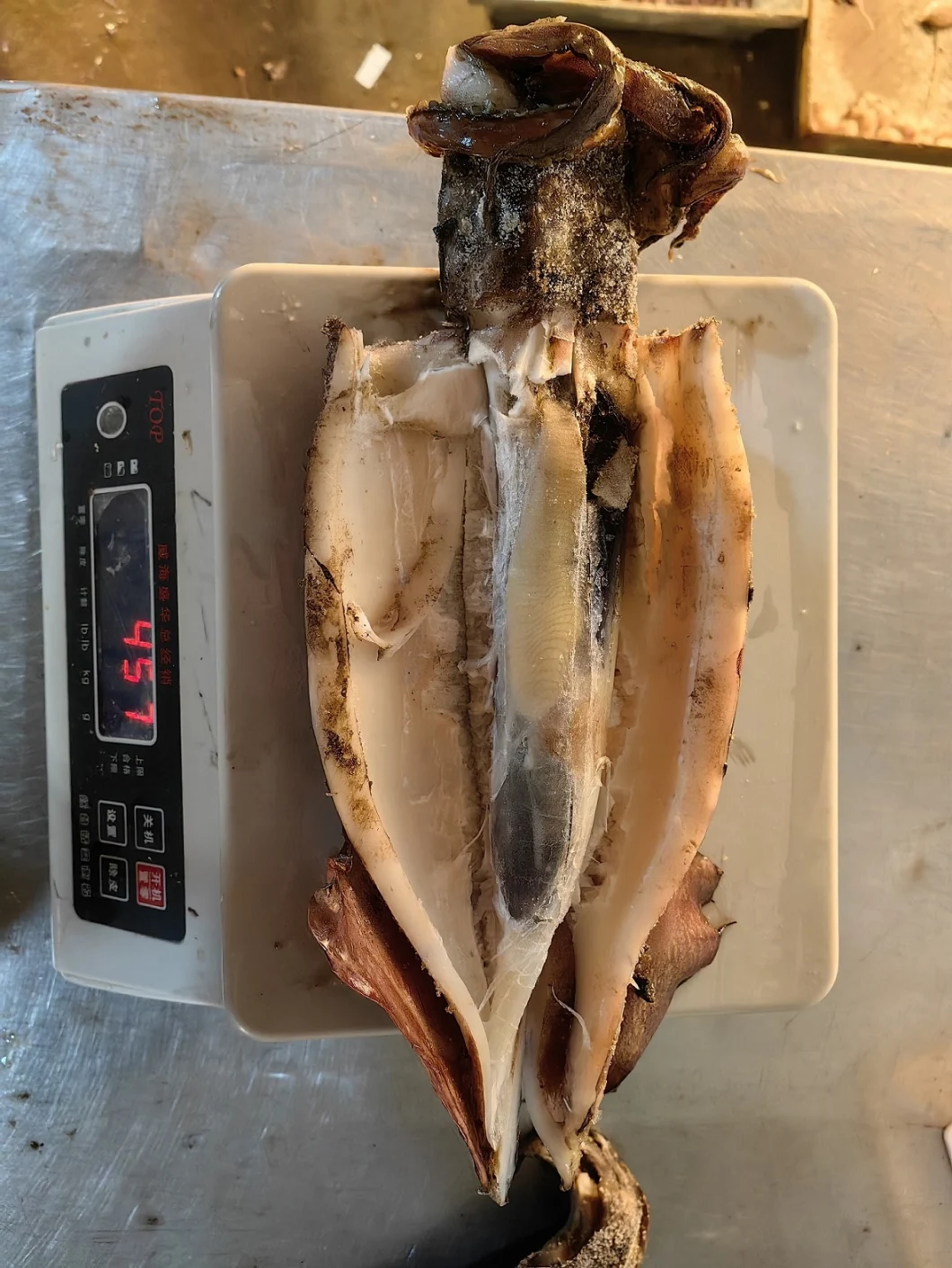 Frozen Whole Round Squid/Calamar/Pota, Illex Squid, Argentina Squid, Todarodes Squid, Frozen Seafood/Raw Materials of Squid/Sotong