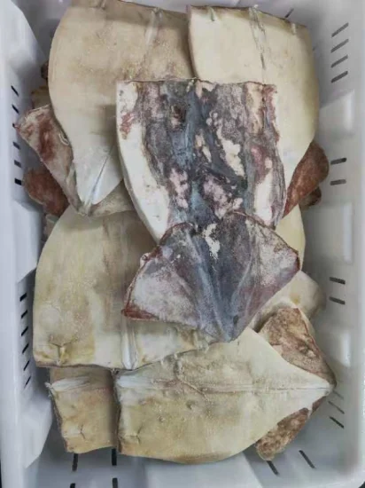 Frozen Squid Fillet, Giant Squid Fillet/Calamari/Calamar/Calmar/Pota