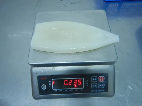 Frozen Illex Squid Tube, /Todarodes Squid Tube/Gigas Squid Tube/ Giant Squid Tube/Calamari/ Calamar/ Pota