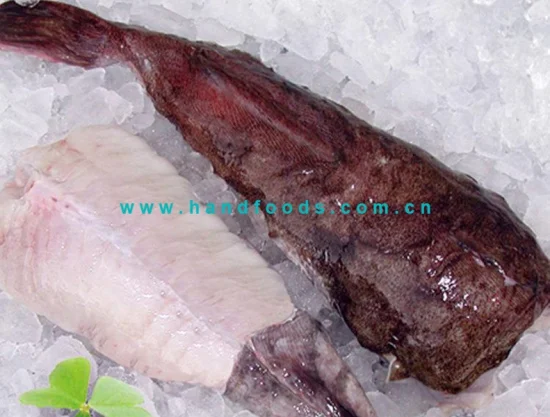 Top Quality Seafood Monk Fish Tails Fully Cleaned