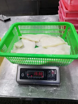 Frozen Todarodes Pacificus Squid/Calamari Tube