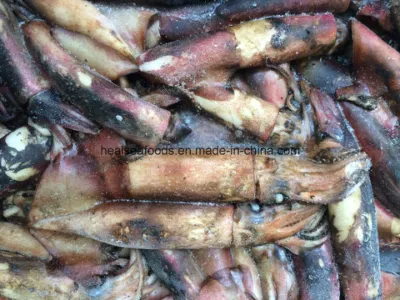 Black Squid for Bait, High Quality Loligo Chinese Supplier