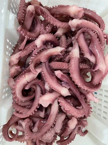 Frozen Squid Tentacle Strip Cut/ Giant Squid Tentacle/Boiled Squid Tentacles/Frozen Seafood/Sotong