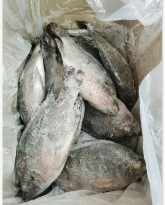 Fish Seafood Black Frozen Tilapia