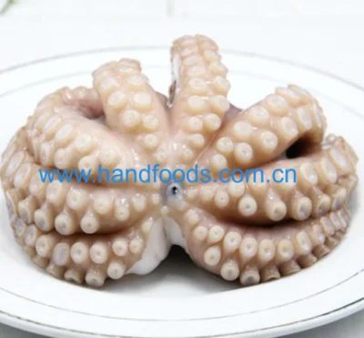 Good Quality Seafood of Frozen Cleaned Common Octopus Gaint Octopus