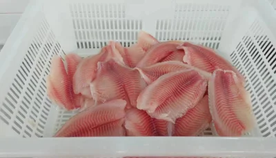 Frozen Tilapia Fillet Fish Sea Food