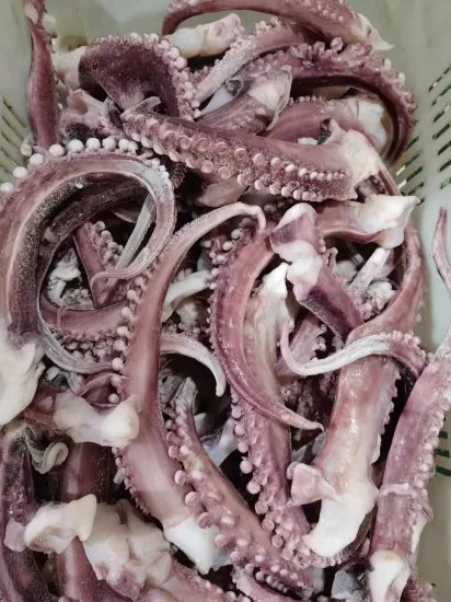 Frozen Squid Tentacle Strip Cut/ Giant Squid Tentacle/Gigas Squid Tentacle/Frozen Seafood