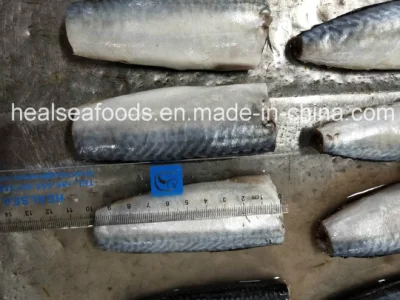 Land Frozen Pacific Mackerel Hgt with Good Price