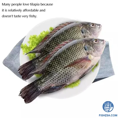 Black Tilapia China Farming Fish Black Tilapia Frozen