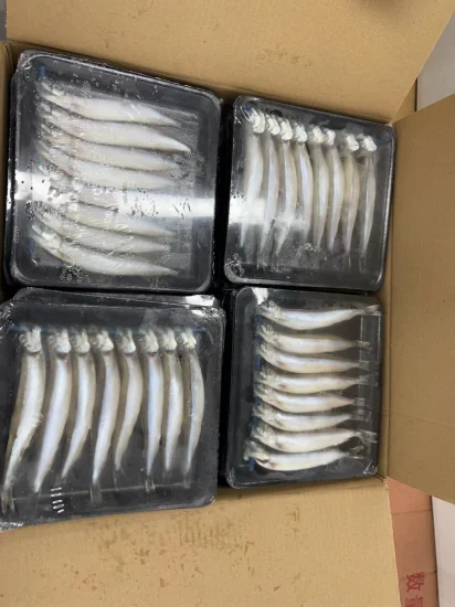 High Quality Frozen IQF/Bqf Capelin Fish for Sale Singapore Good Price