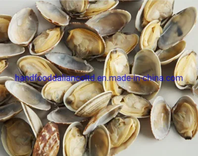 Frozen Cooked Short Necked Clam