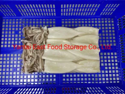 Frozen Squid Tt, Cleaned, Illex, Todarodes, Frozen Seafood