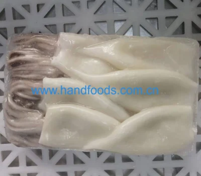 Good Quality Seafood of Frozen Squid T + T (Tubes + tentales or rings + Tentacles)