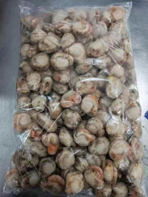 Frozen Scallop Meat/ Frozen Sea Scallop Meat/Frozen Boiled Baby Scallop/Frozen Seafood/Shellfish