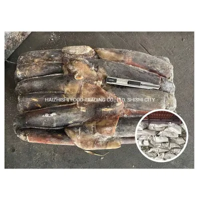 New Arrival Board Frozen Whole Round Giant Squid 300-500g