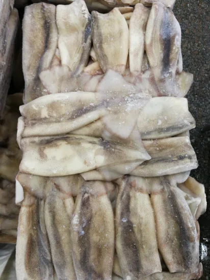 Frozen Squid Tentacle Cut/Gigas Squid Tentacle Cut /Sliced Squid Tentacle/Cooked Squid Tentacle Cut