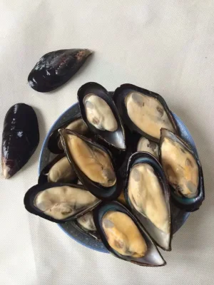 Frozen Top Quality Seafood Half-Shell Mussels with Good Price